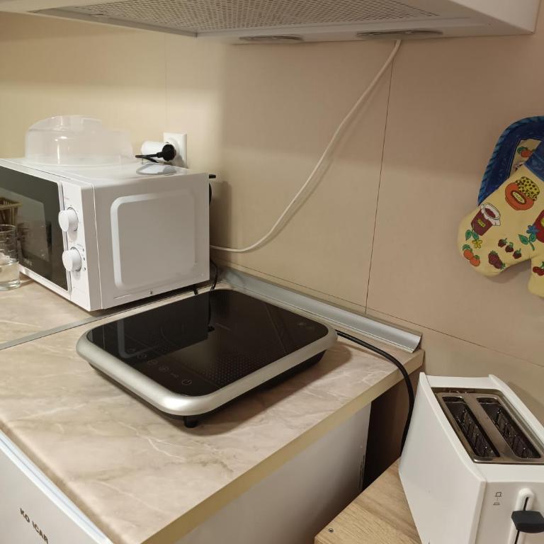 Apartman Dana - Apartman sa 1 Spavaćom Sobom - 15