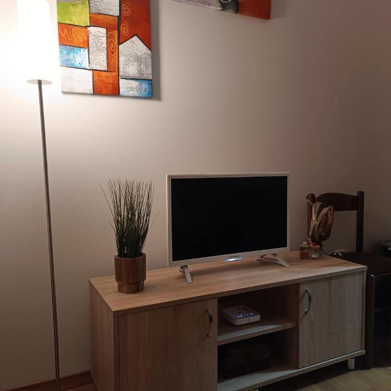 Apartman Dana - Apartman sa 1 Spavaćom Sobom - 12