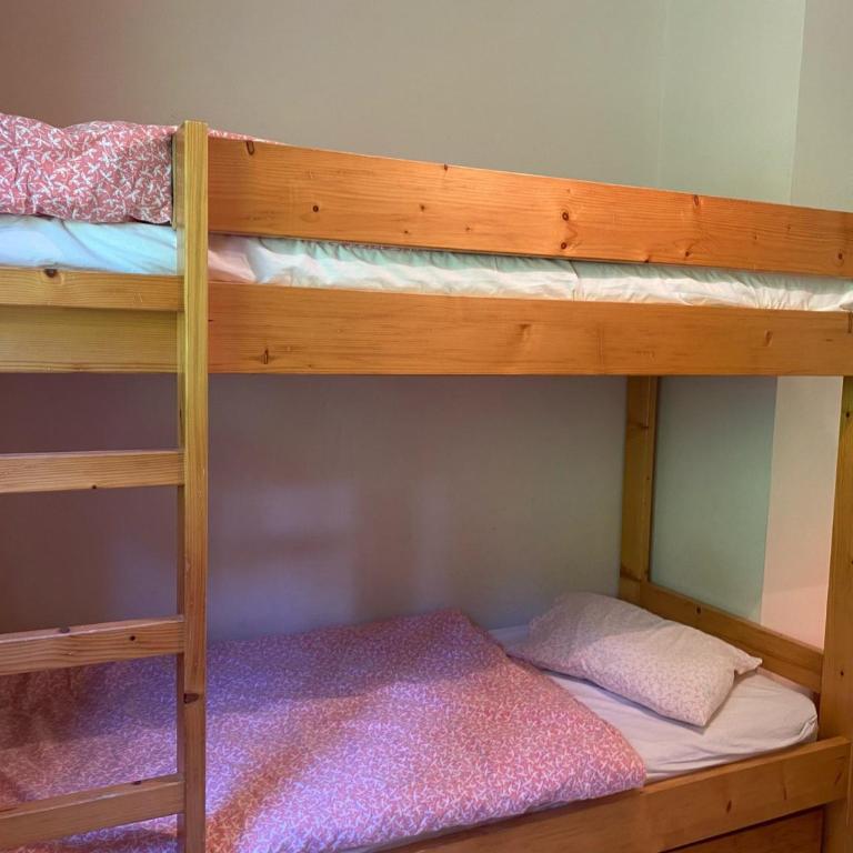 Charmant appartement à Châtel, proche du centre, 2 chambres, 1 place parking - FR-1-693-83 - Appartement - 6