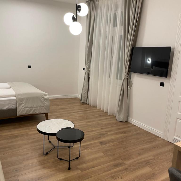 Central Apartments Sarajevo - Deluks Studio - 8