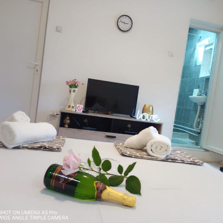 Relax Apartmani Niš - Studio Apartman - 18