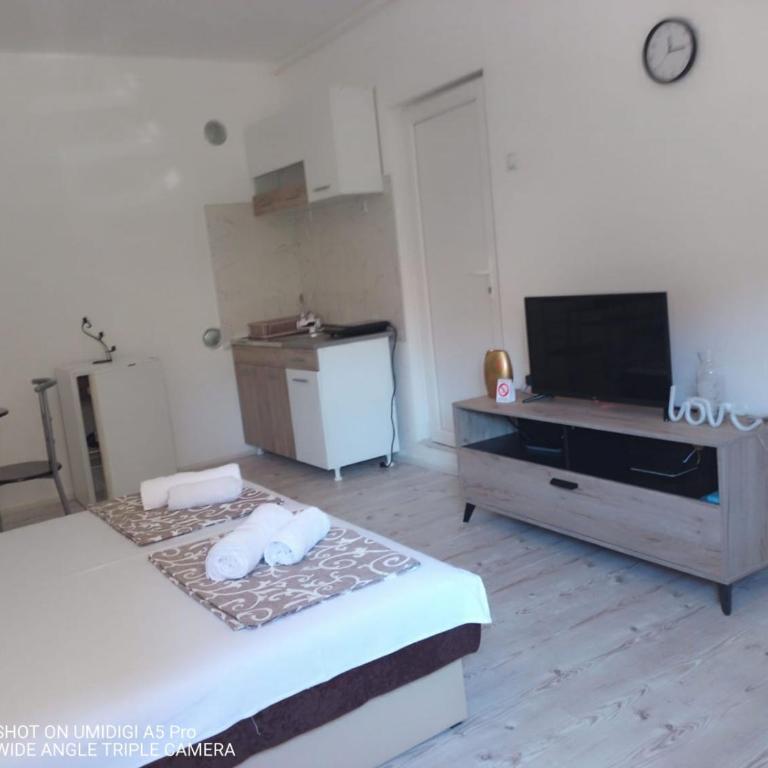 Relax Apartmani Niš - Studio Apartman - 20