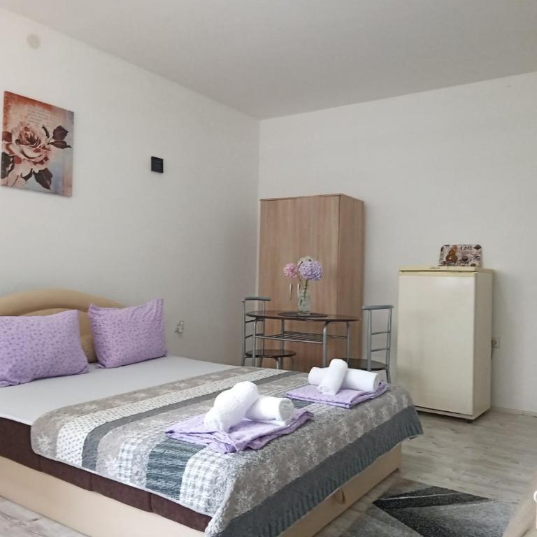 Relax Apartmani Niš - Studio Apartman - 19