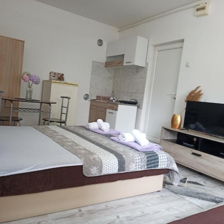 Relax Apartmani Niš - Studio Apartman - 22