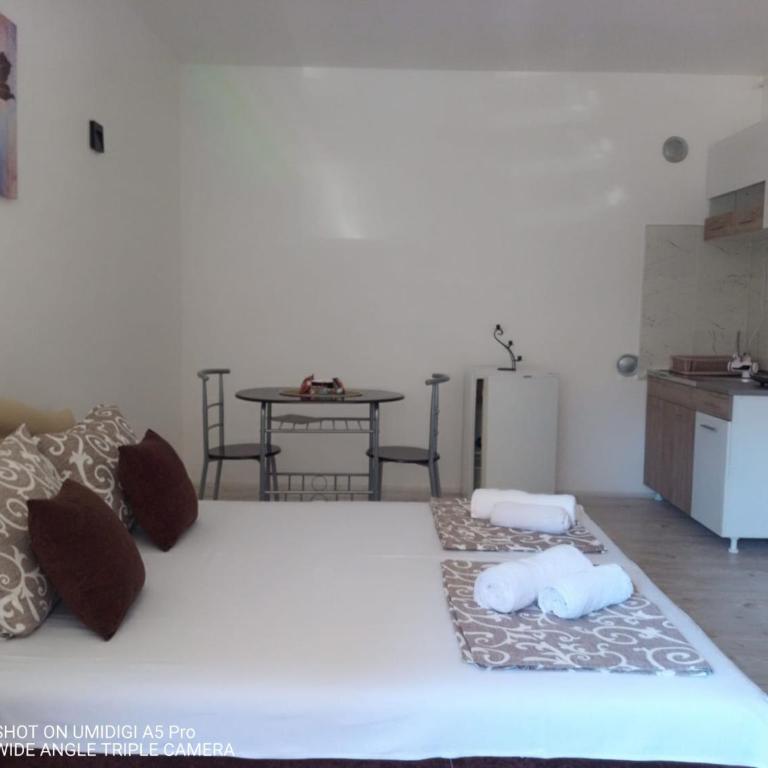 Relax Apartmani Niš - Studio Apartman - 21