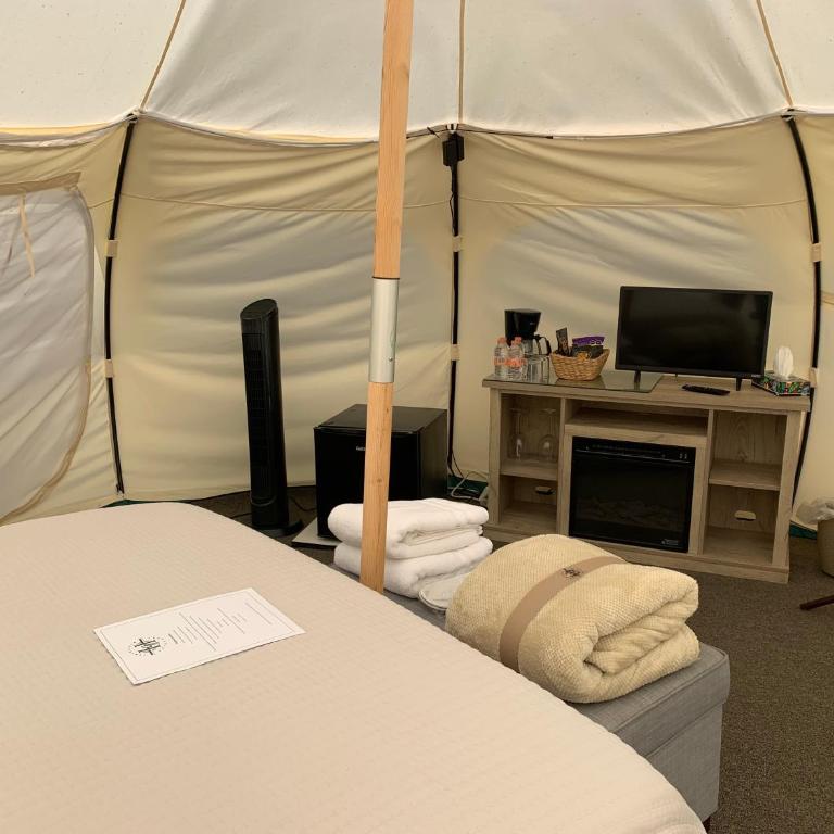 HG Glamping - Tienda - 3