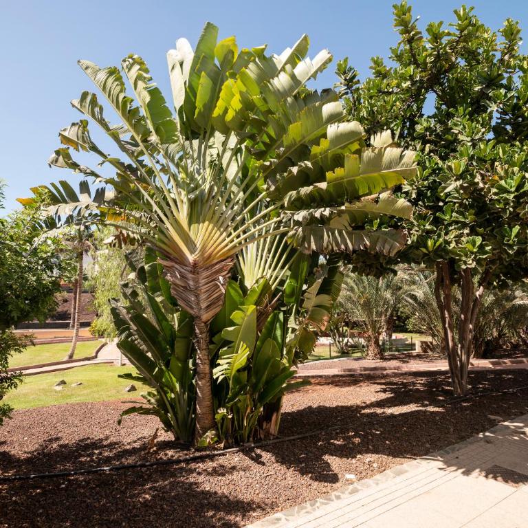 Apartamento junto a la playa - Two-Bedroom Apartment - 29