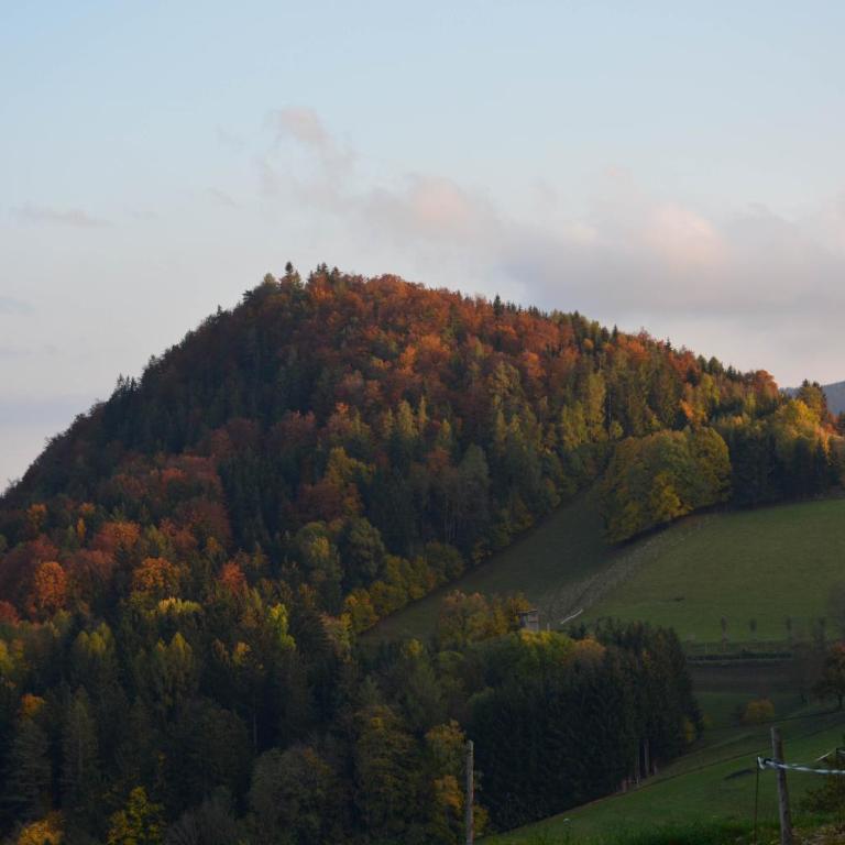 Ferienhaus Reisinger Promschhof - Haus mit 2 Schlafzimmern - 60