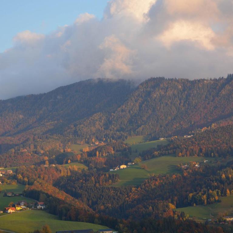 Ferienhaus Reisinger Promschhof - Haus mit 2 Schlafzimmern - 12