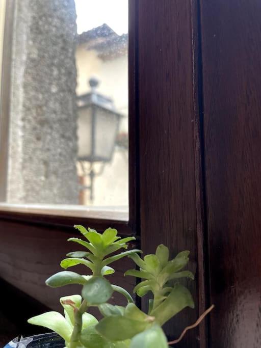Bella Casa Affrescata - Appartamento con 1 Camera da Letto - 6