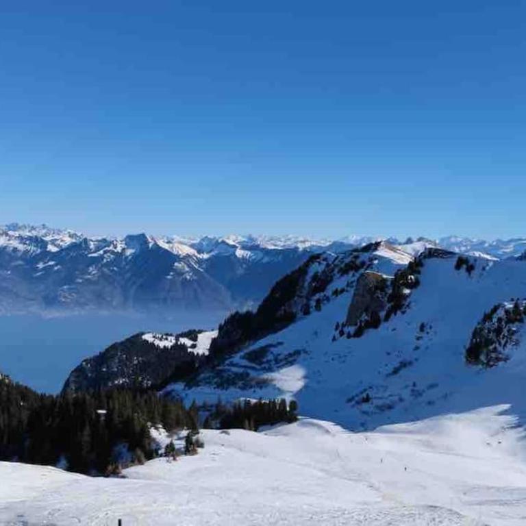 Studio Myrtilles du Léman vue sur lac et montagne - Studio avec Vue sur Lac - 4