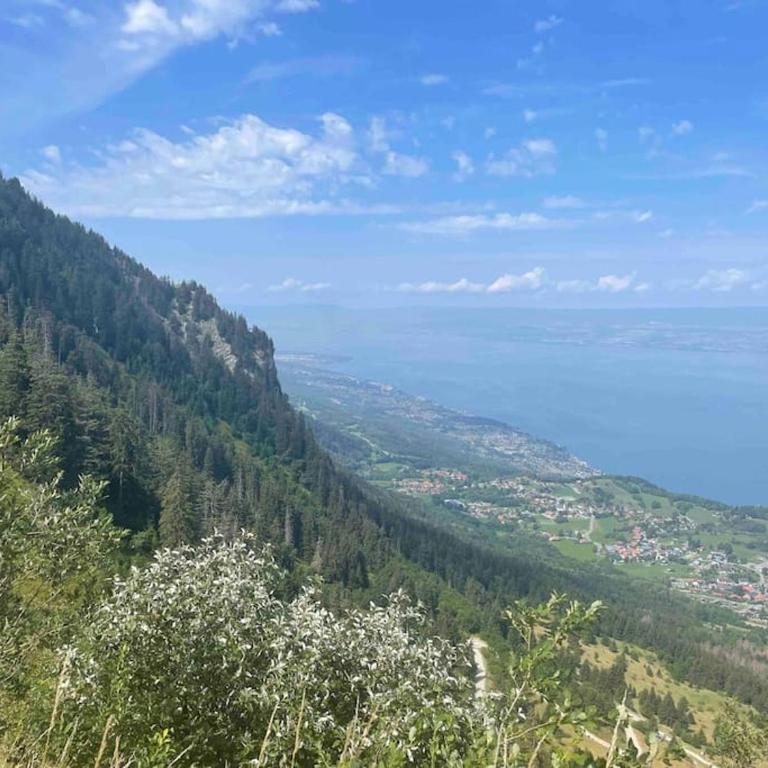 Studio Myrtilles du Léman vue sur lac et montagne - Studio avec Vue sur Lac - 14