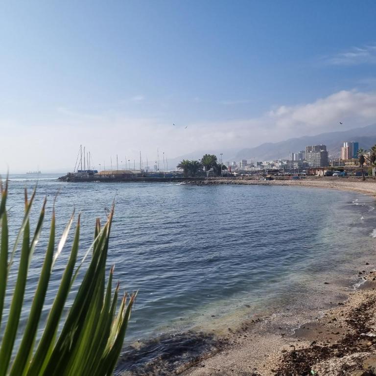 Antofagasta Inolvidable-SOLO ADULTOS - Apartamento de 1 dormitorio - 23