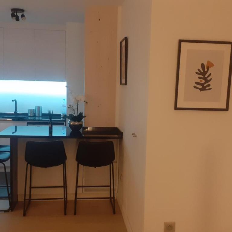 Le berlier 13 - Appartement 2 Chambres - 17