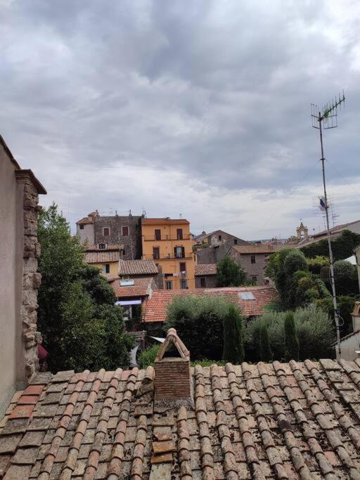 AL 18 Viterbo Centro - Appartamento con 1 Camera da Letto - 4