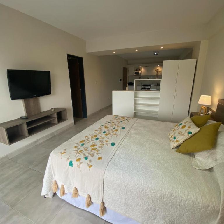 Apart Moderno EXCEPCIONAL Barrio Sur - Apartamento de 1 dormitorio - 6