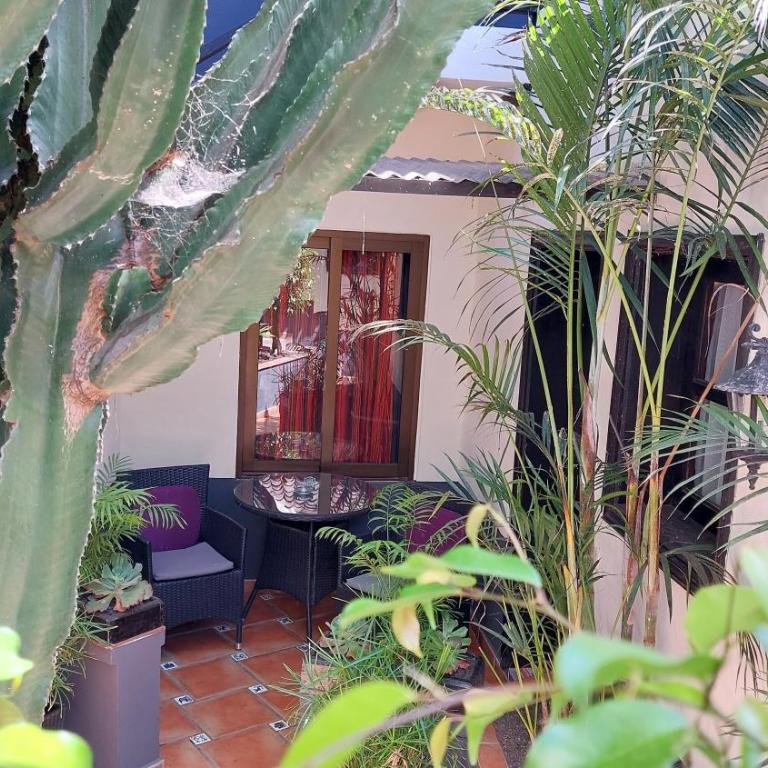 Apartamentos Monasterio de San Antonio - adults only - Apartamento Estándar (2 adultos) - 19