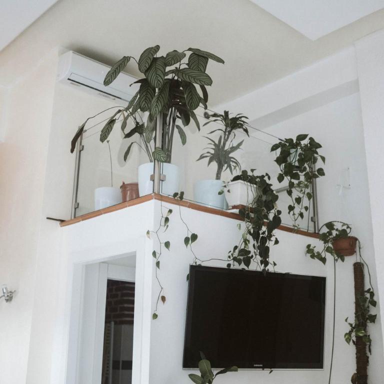 Luxury Loft - Milano Centrale - Appartamentino su 2 Livelli - 9