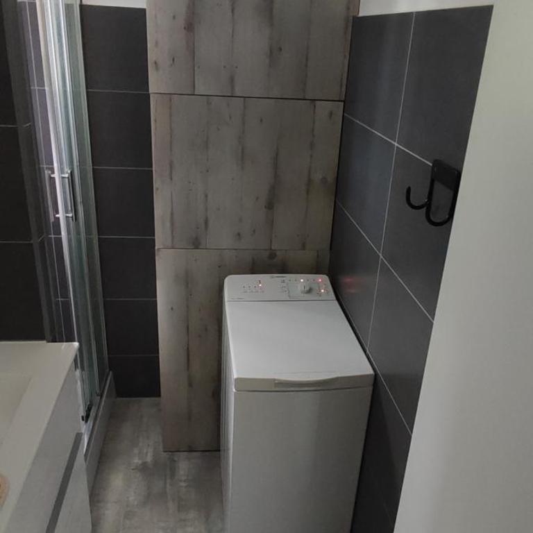 Loft neuf 4 couchages Peone- Valberg - Studio - Vue sur Montagne - 10