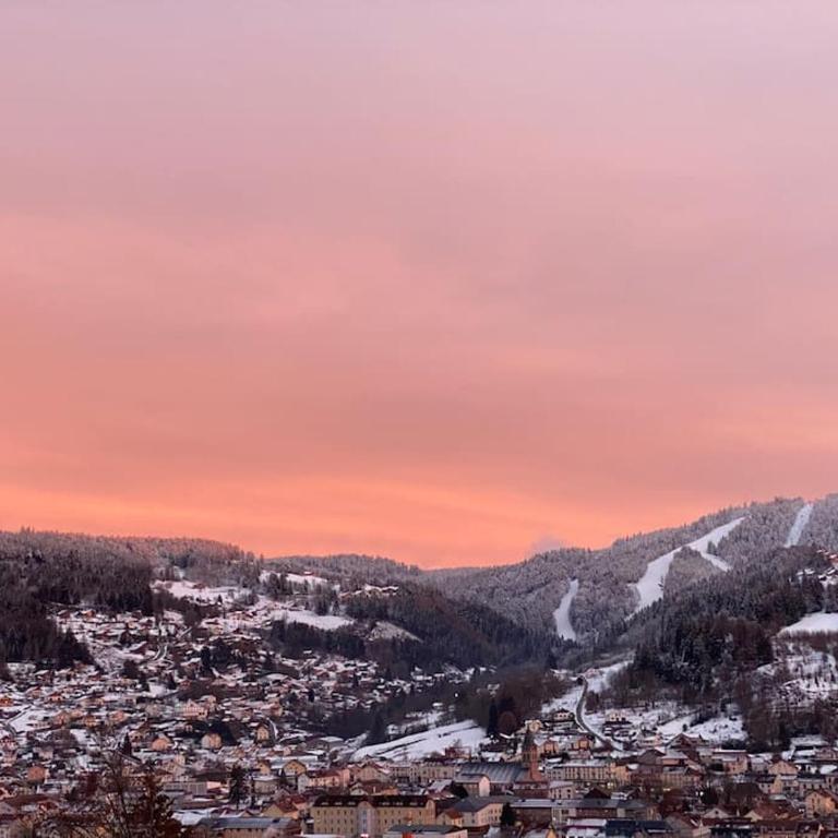 la ruche Bel appartement avec terrasse, magnifique vue , 2 spa - Appartement 1 Chambre - 33