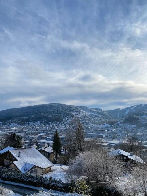 la ruche Bel appartement avec terrasse, magnifique vue , 2 spa - Appartement 1 Chambre - 30