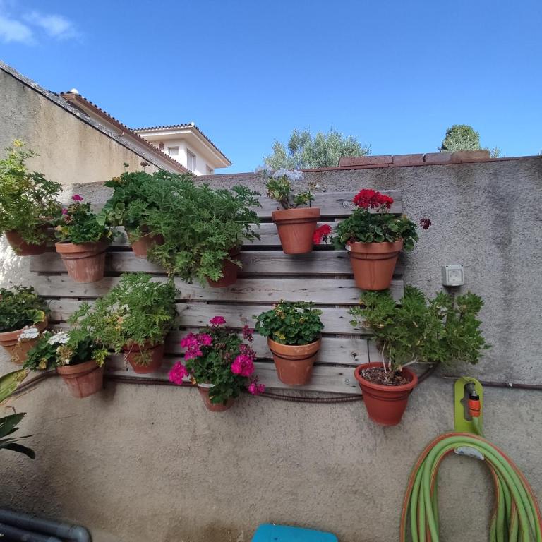 RÚSTIC AMB PISCINA PRIVADA - Apartamento - Planta baja - 17