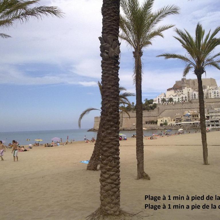 A 1 min de las playas norte y sur - Apartamento de 1 dormitorio - 17
