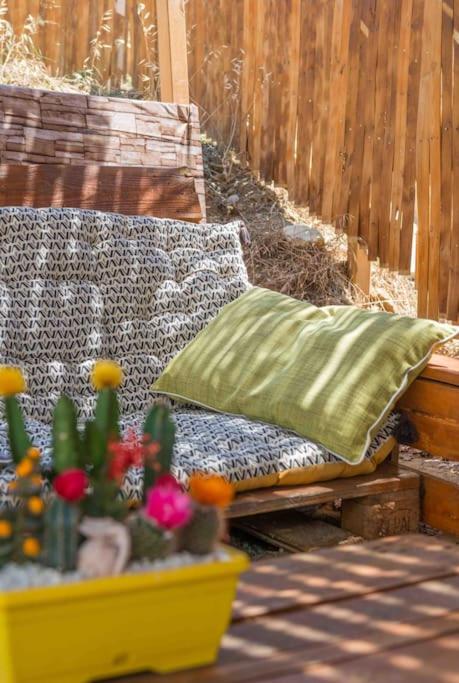 Aux Studio sous les oliviers Netflix et Prime vidéo - Appartement - Vue sur Piscine - 17