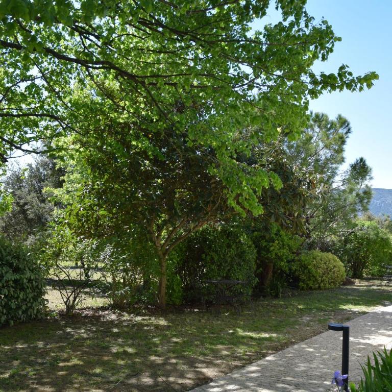 Hôtel et SPA des sources du gros noyer - Deluxe Doppel-/Zweibettzimmer mit Gartenblick - 9