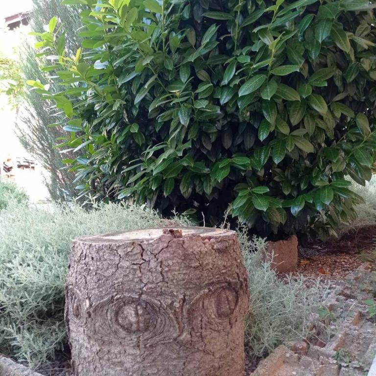 my holiday - Dupleks Četvorokrevetna Soba - 24