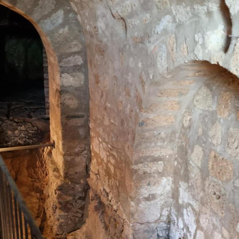 La Porticella - with inner etruscan museum - Apartment - Erdgeschoss - 30