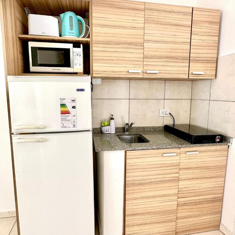 Departamento con Patio (San Luis Capital) - Apartamento de 1 dormitorio - 13