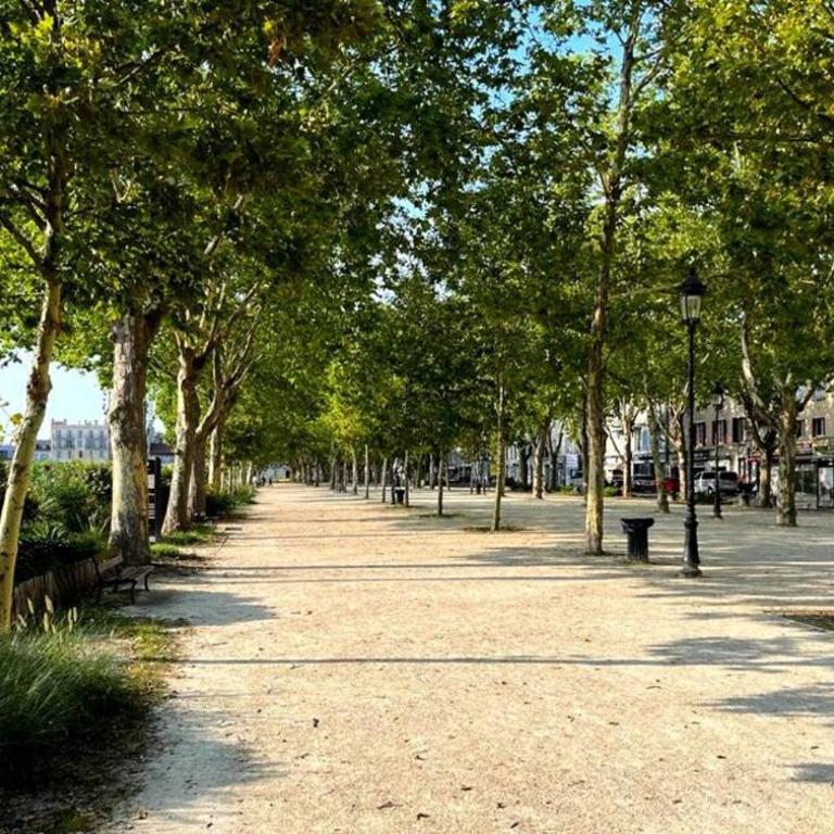 Pau centre vue sur les Pyrénées pour 2 nuits au minimum - Appartement 2 Chambres - 10