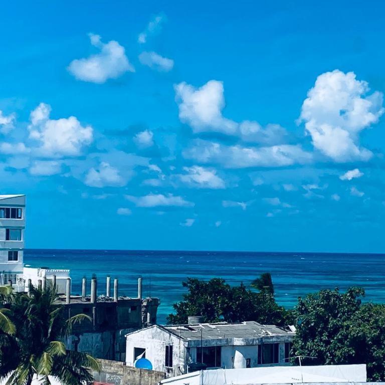 Santa Catalina 404 - Apartamento de 2 dormitorios - 1