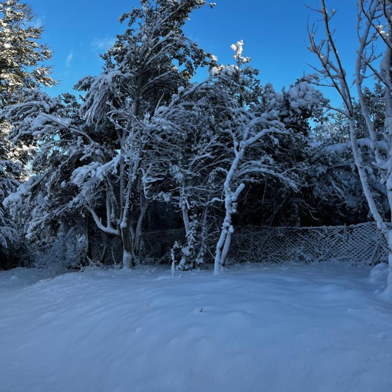 Casa Silente - Casa de 2 dormitorios - 17