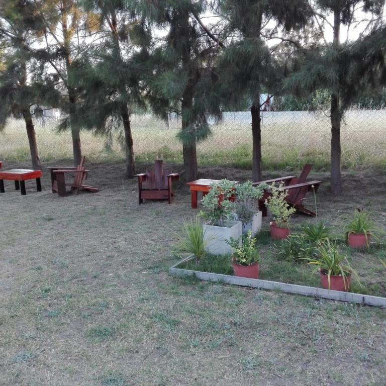 Las Casuarinas Claromeco - Casa - 7