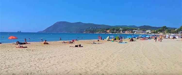 L'antre de MER "Les pieds dans l'eau" - Vue mer - CLIM - Embarcadère - Plage de sable et restaurants à pied - Arrivée autonome dès 17H - Codes sur messagerie - - One-Bedroom Apartment - 31
