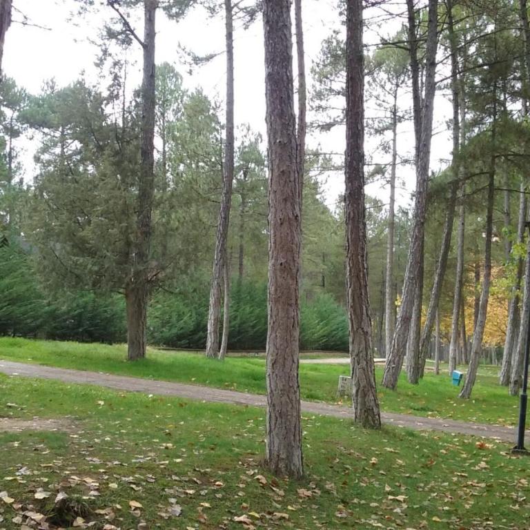 Camping Caravaning Cuenca - Parcela estándar (coche + tienda propia) - 1