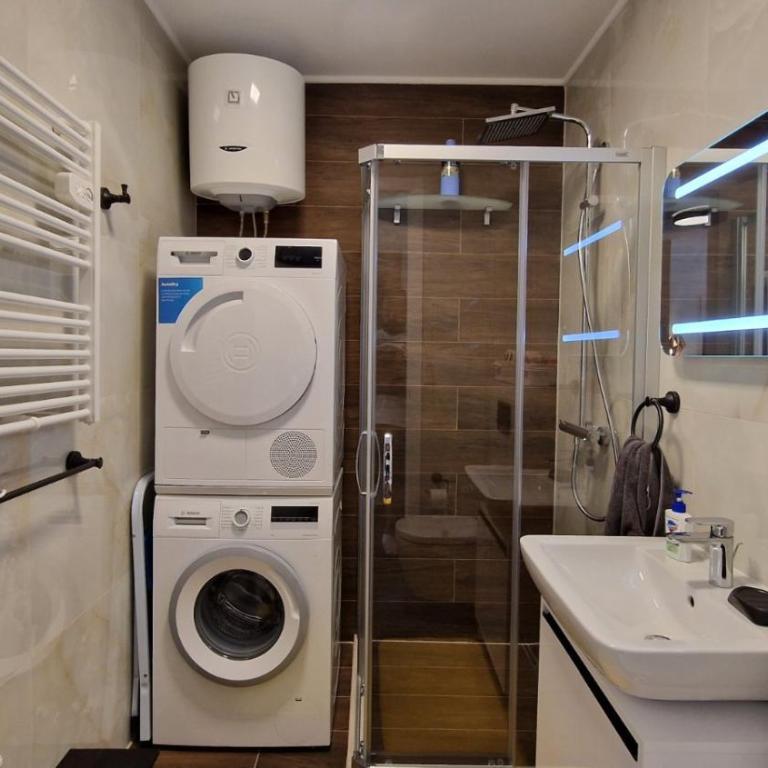 Engadin's 1BDR Apartment near Ski lift - One-Bedroom Apartment - 6