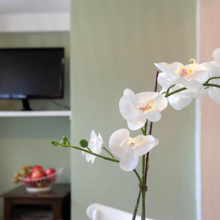 Sweet Pergola - Flo Apartments - Appartamento - 18