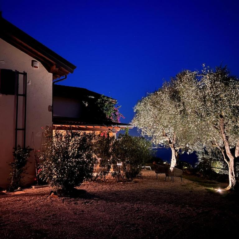 Neu- Villa Ventinove zauberhaft renovierte Landhausvilla mit traumhaftem 180-Seeblick und Park - Villa - 59