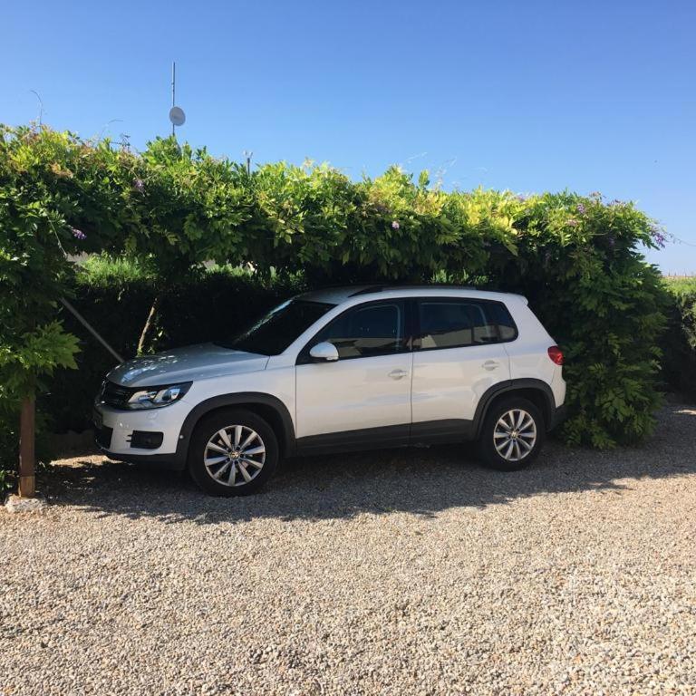 Sistach Rentals Nablanca - Villa - 28