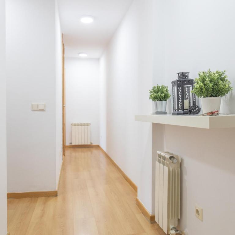 Luminoso Madrid Javalambre Temporal - Two-Bedroom Apartment - 29