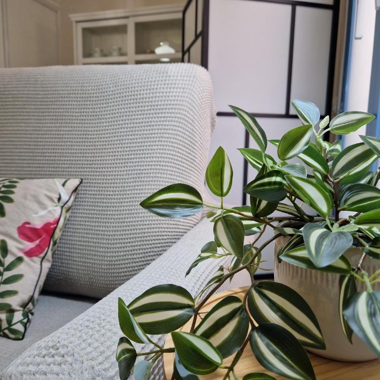Del Parque Flats Galatas Malaga - Apartamento - 10