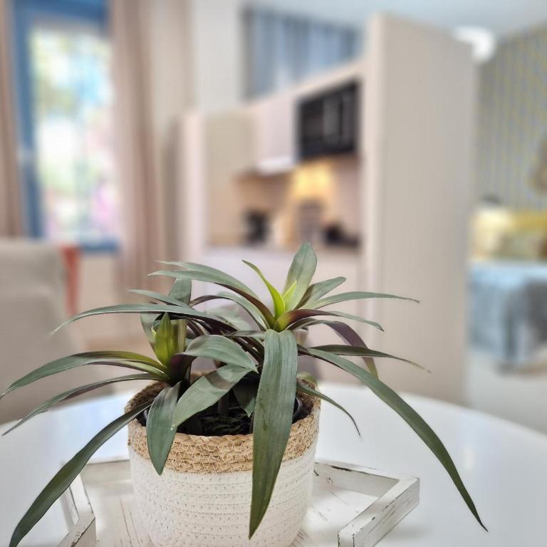 Del Parque Flats Galatas Malaga - Apartamento - 5