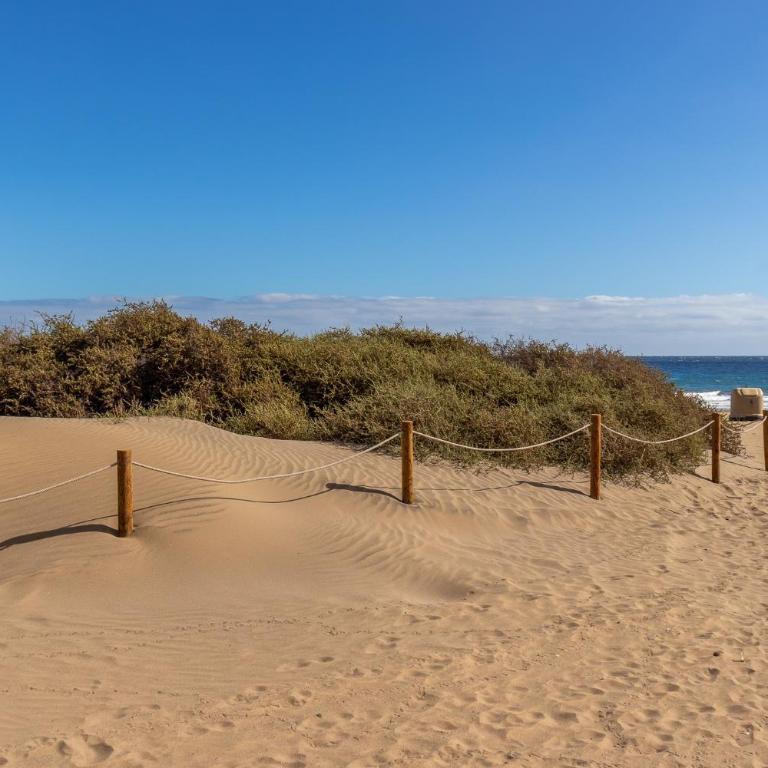 Home2Book Modern Las Olas Blues Maspalomas, Pool - Apartamento de 2 dormitorios - 35