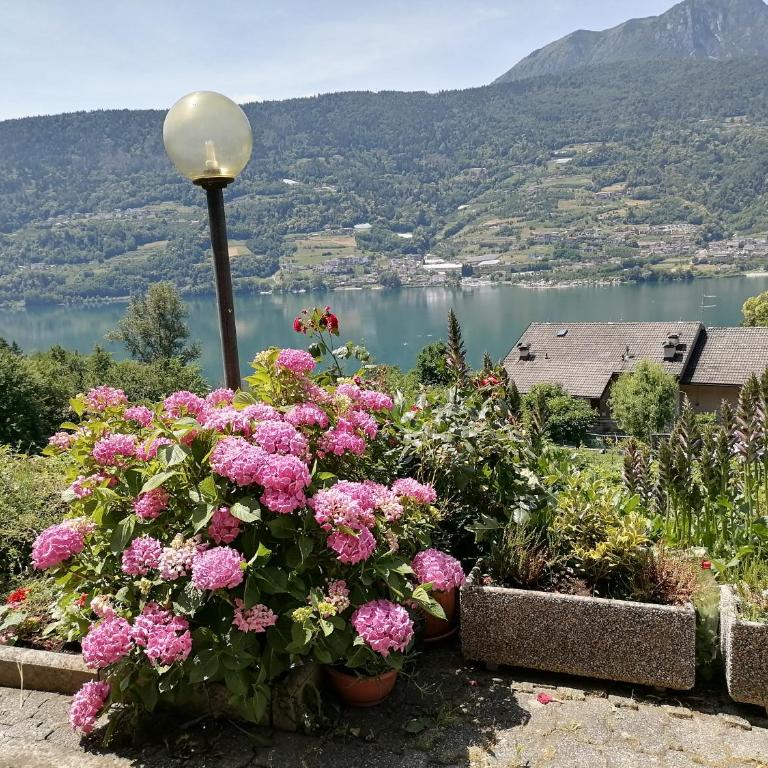 HAPPY DAYS Appartamento con stupenda vista lago - Apartamento de 1 dormitorio - 15