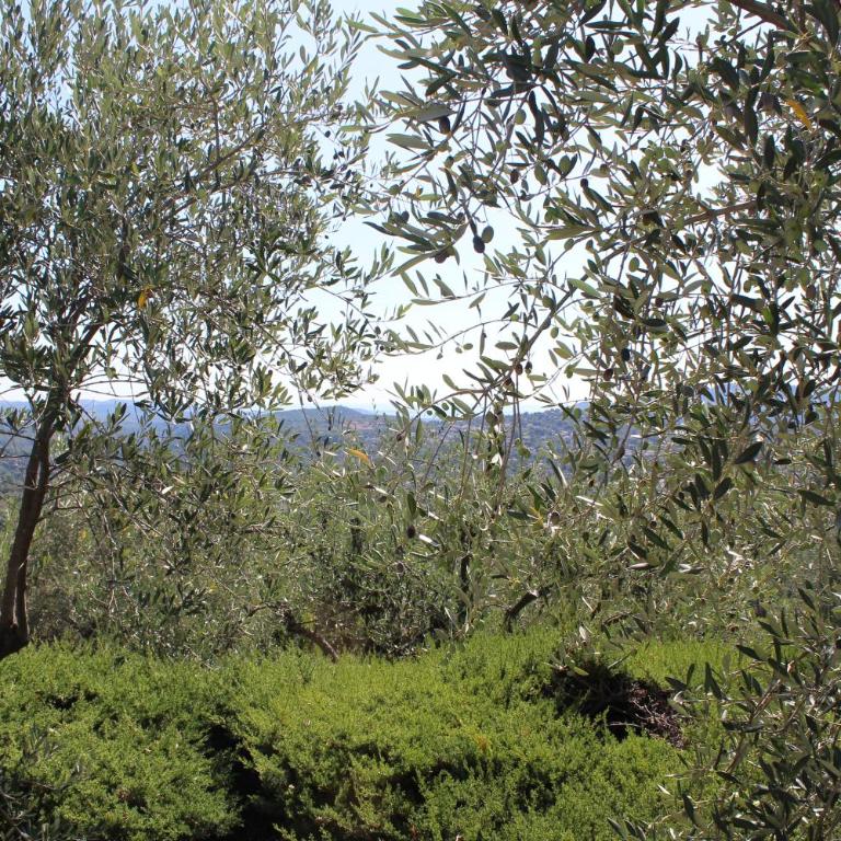 "La Colombe sous les Oliviers" Gîte jusqu'à 4 personnes - 75m2 - Sur Boooking - Rez de jardin Piscine Vue mer et lac - Casa Vacanze - 36