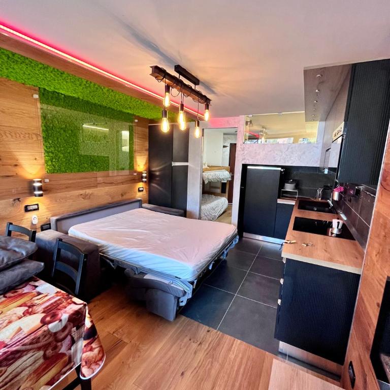 Appartamento di lusso sulle piste - Appartement 1 Chambre - 25
