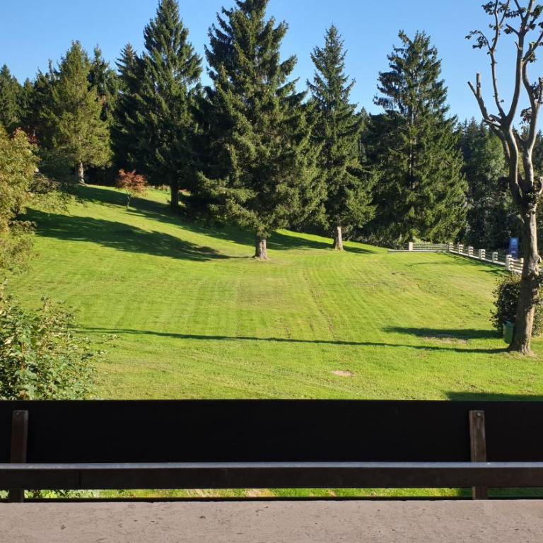Apartment mit 2 Zimmer im Bayerischen Wald - Apartment mit 1 Schlafzimmer - 1